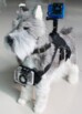 Harnais de support caméra sport pour chien + bras articulé