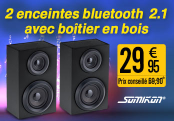 ZX1580 Paire d'enceintes actives 2.1 Bluetooth 6 W / 5 W avec boîtier en bois
