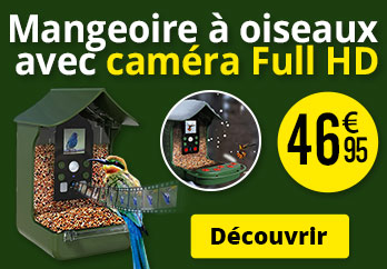 Mangeoire à oiseaux avec caméra Full HD VisorTech - ZX5469