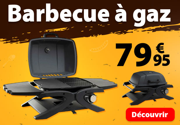 Barbecue à gaz Absolu Chic - TG3251